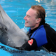 Illustration for article titled Dolphin Spends Amazing Vacation Swimming With Stockbroker